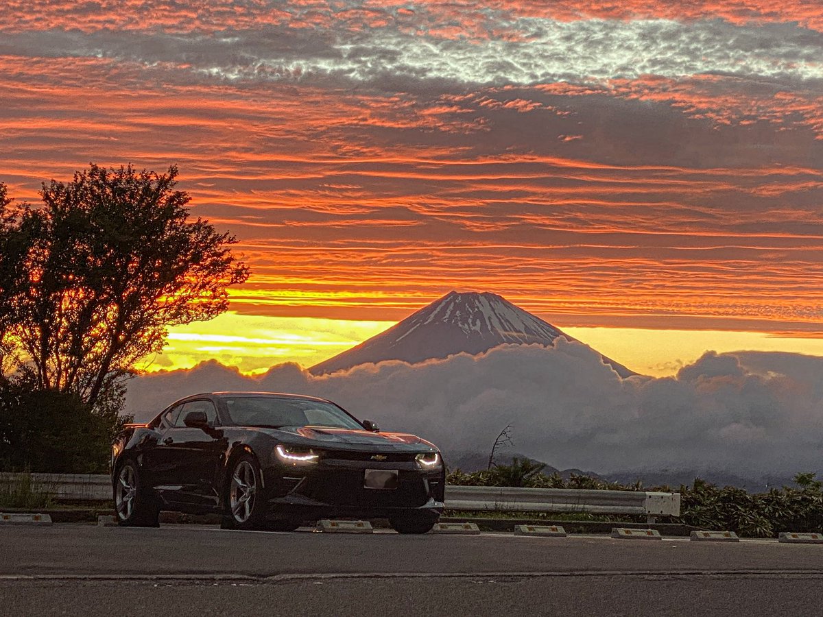 餡茶(低浮上) tweet media