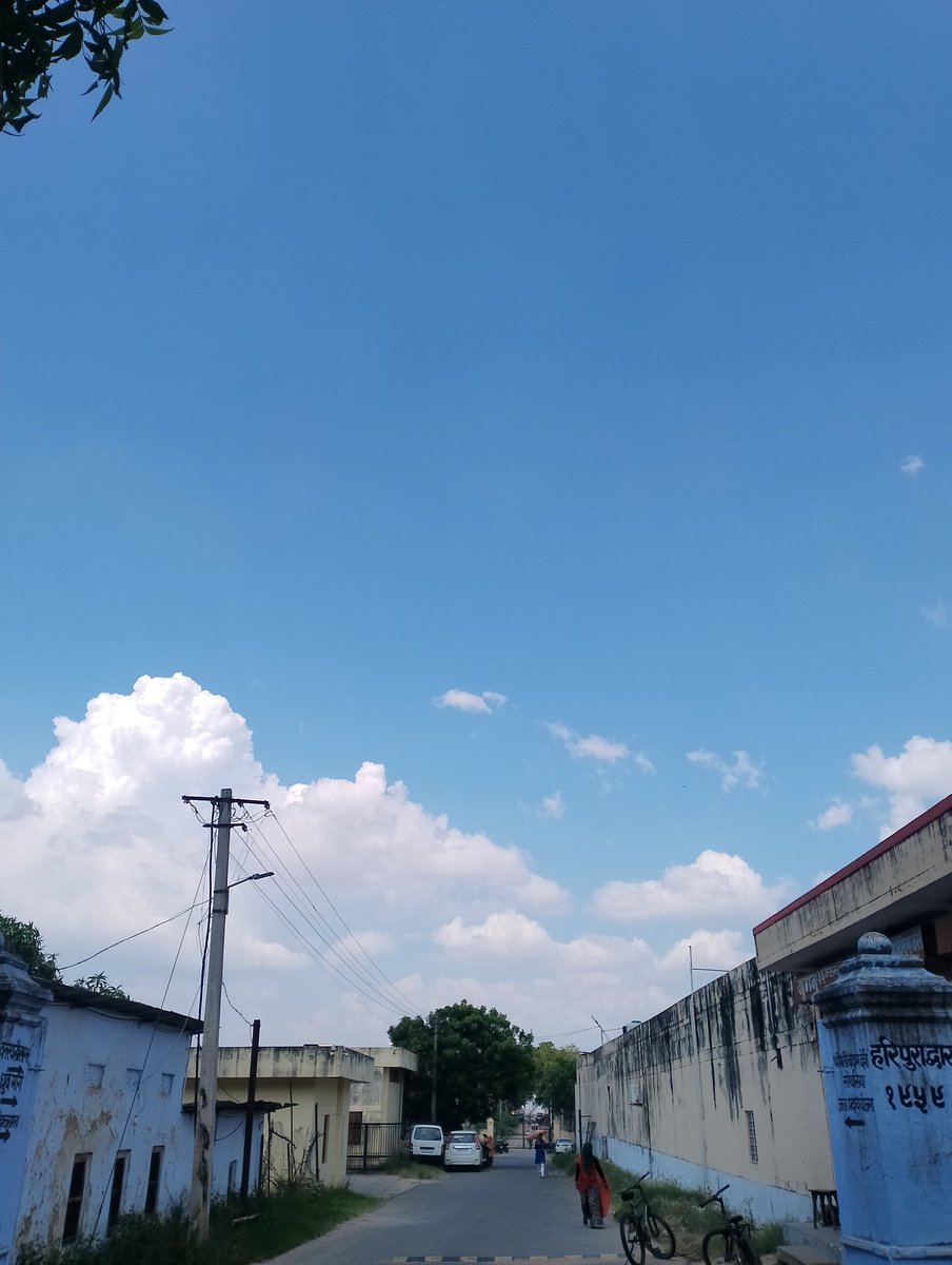 Shafali Singh tweet media