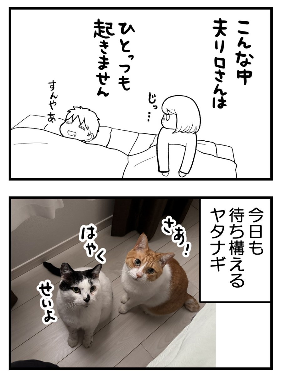 (2/2) 