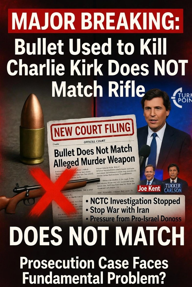 RealHuman_Christian tweet media