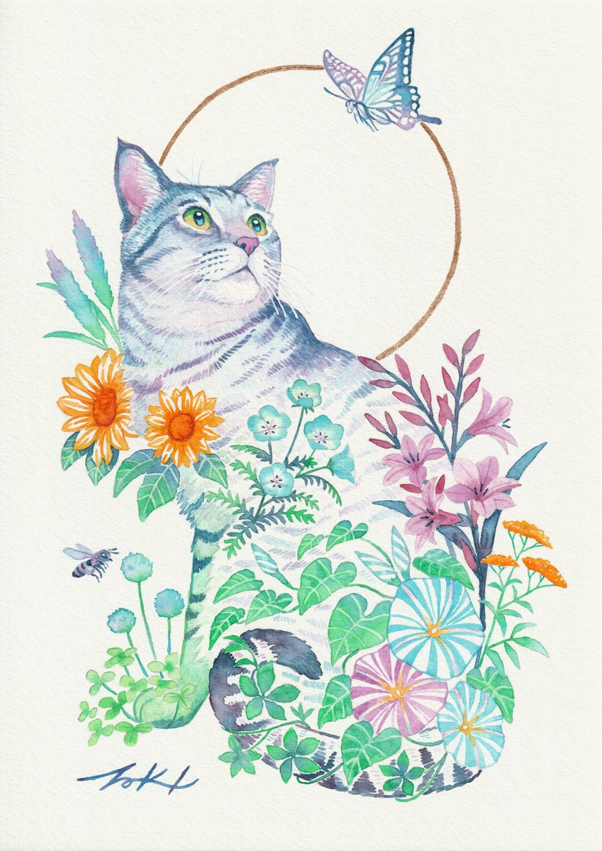 TAKI🐈⬛Cat Lover Creator tweet media