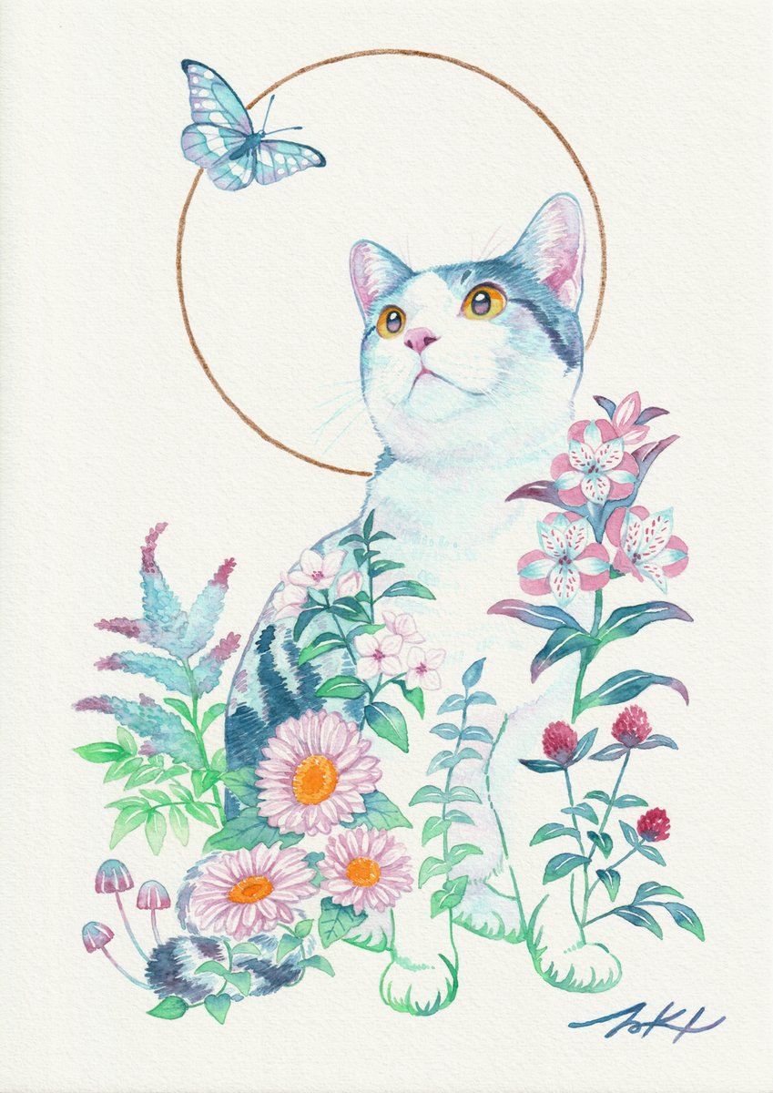 TAKI🐈⬛Cat Lover Creator tweet media