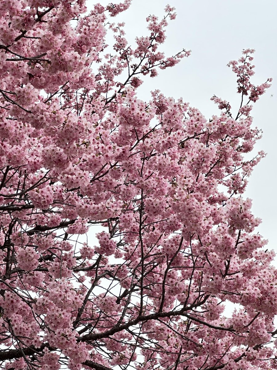 Milan Kovac tweet media