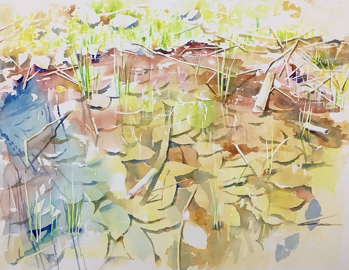 DiDi（土井大輔）watercolor tweet media