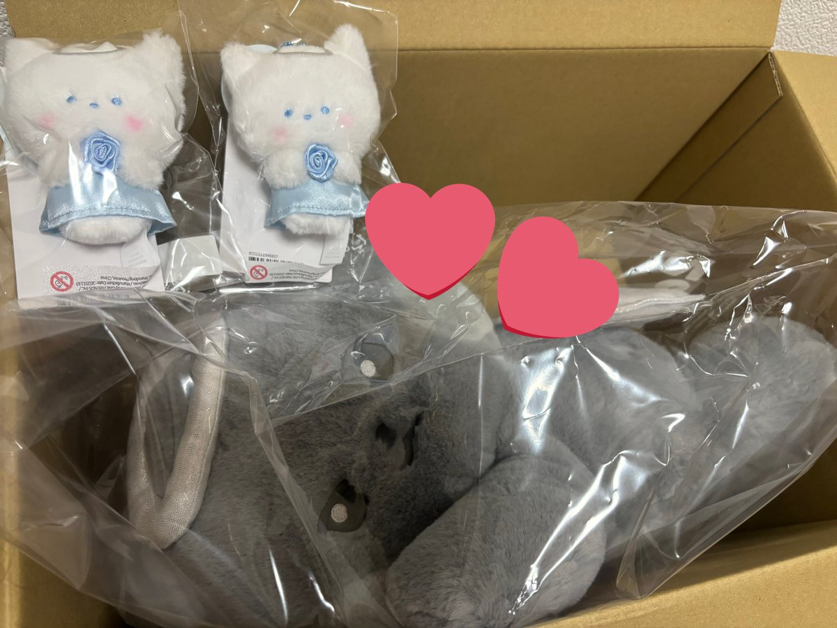 ちゃるたん tweet media