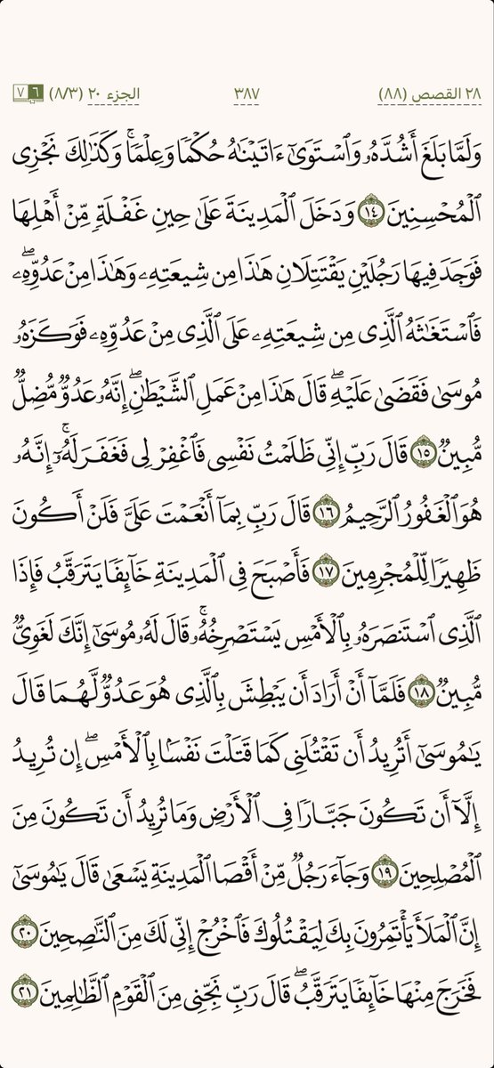 كل يوم صفحة tweet media