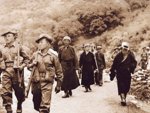 圖伯特之頁 tweet media