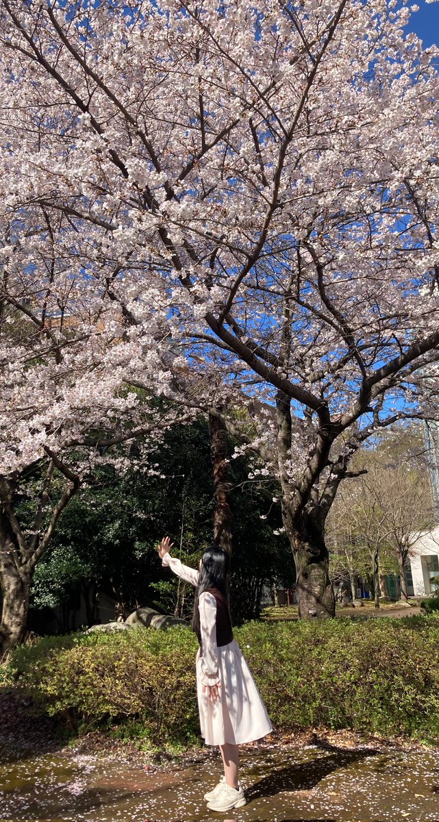 순그커비 tweet media