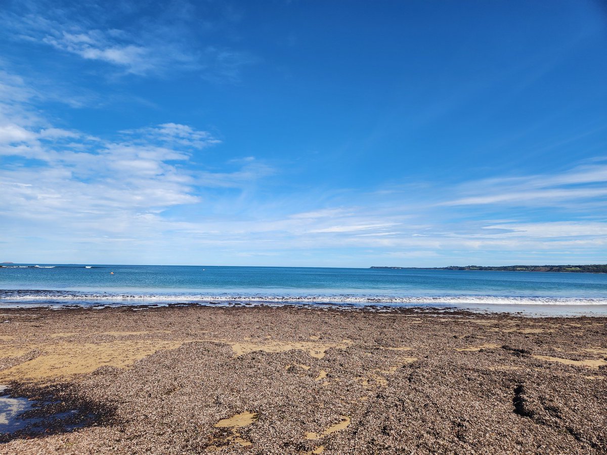 Cow10InBen tweet media