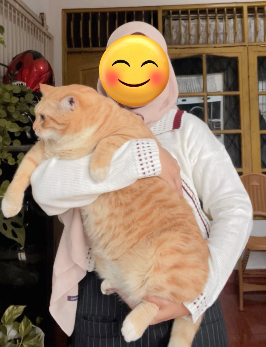 Pak RT Koko tweet media