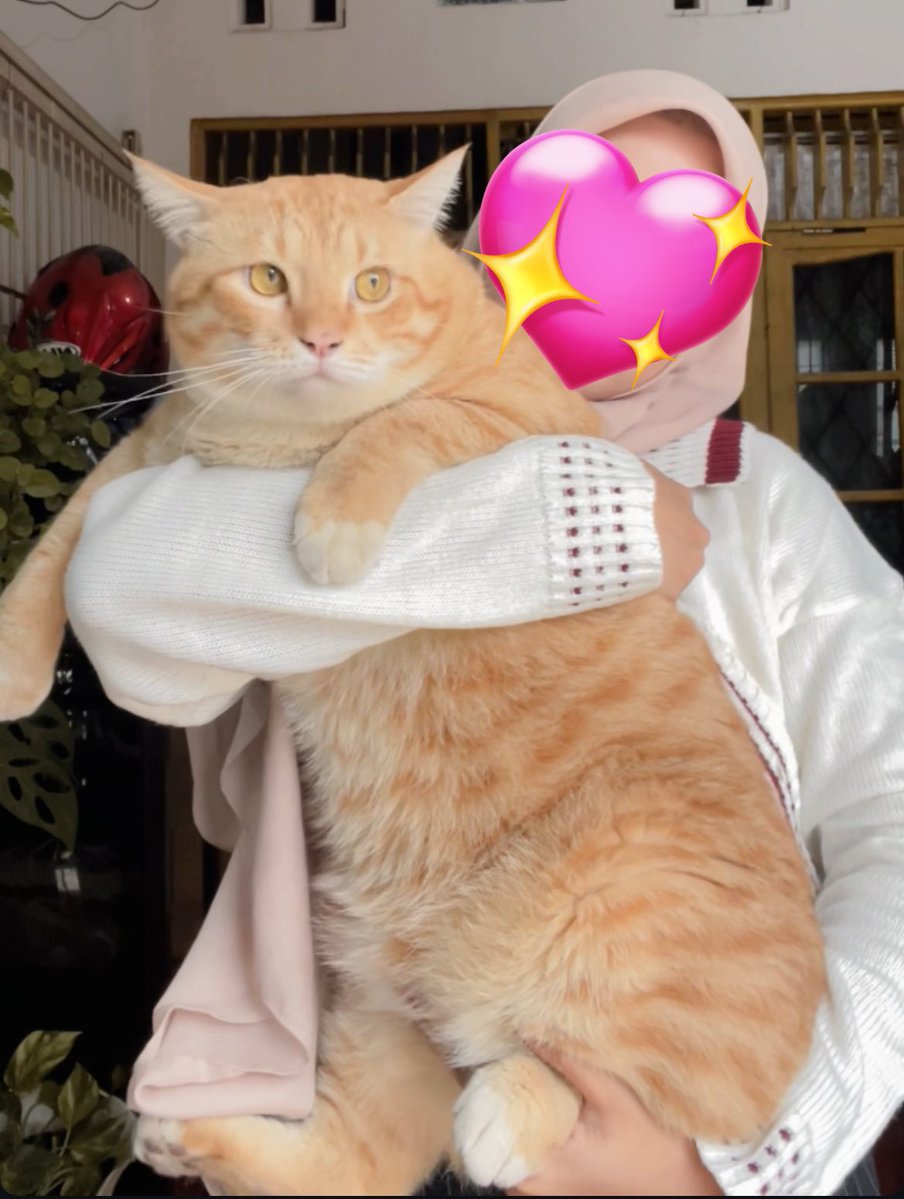 Pak RT Koko tweet media