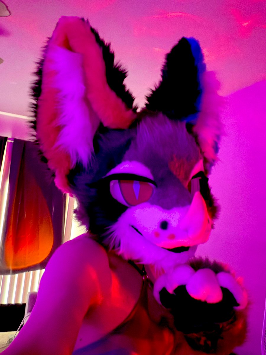 Softstatixx's tweet photo. 3 days until LVFC~ https://t.co/twlJe5yjgP
