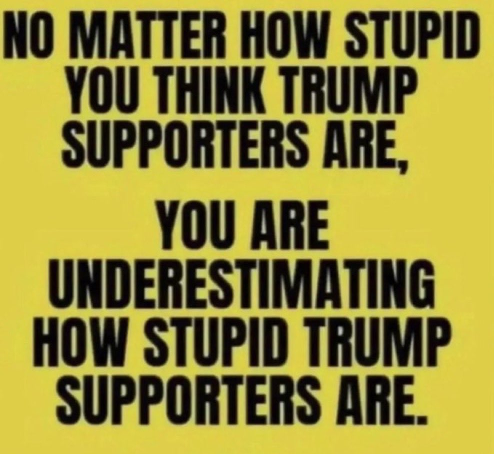 Andy Lex (Official) tweet media