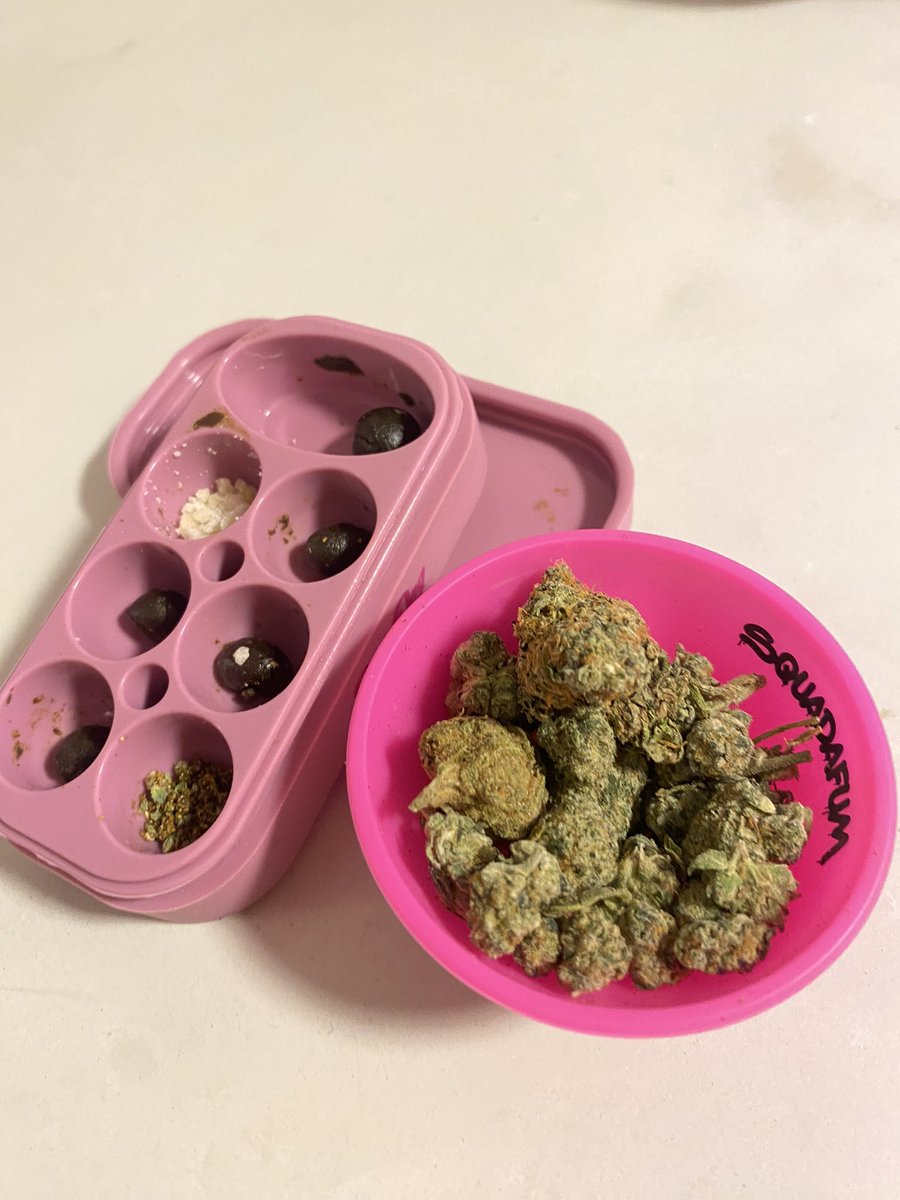 Diana Moon 🌙 tweet media