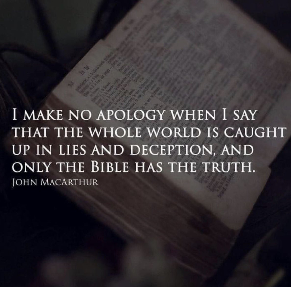 🌷 LIZZIE🌷 tweet media