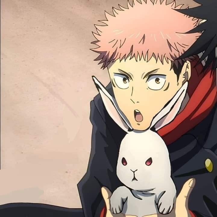 Lara ❀ tweet media