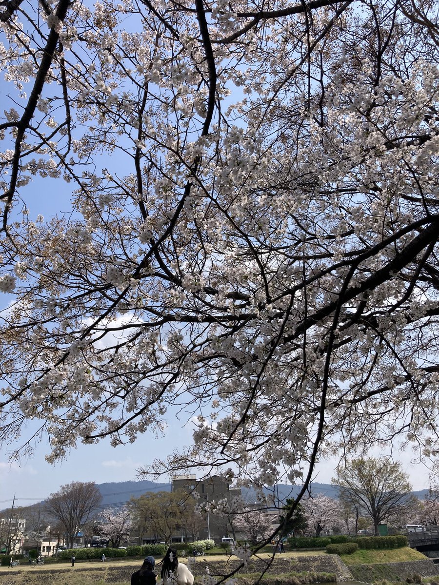 松岡　へんしーちょー tweet media