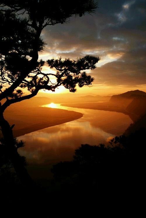 🔹 بين السقوط والرجوع: حكاية قلبٍ لا ييأس🔹
————————————————

🔺 ليست العبرة في أن لا نُذنب، فذاك مقامٌ عزيزٌ لا يبلغه إلا من عصمه الله، 
👈🏻 ولكن العبرة كل العبرة: ماذا نصنع إذا زللنا؟

🔺 هنا يبدأ الطريق الحقيقي… طريق العبودية الصادقة، حيث لا يُقاس الإيمان بعدد السقطات، بل