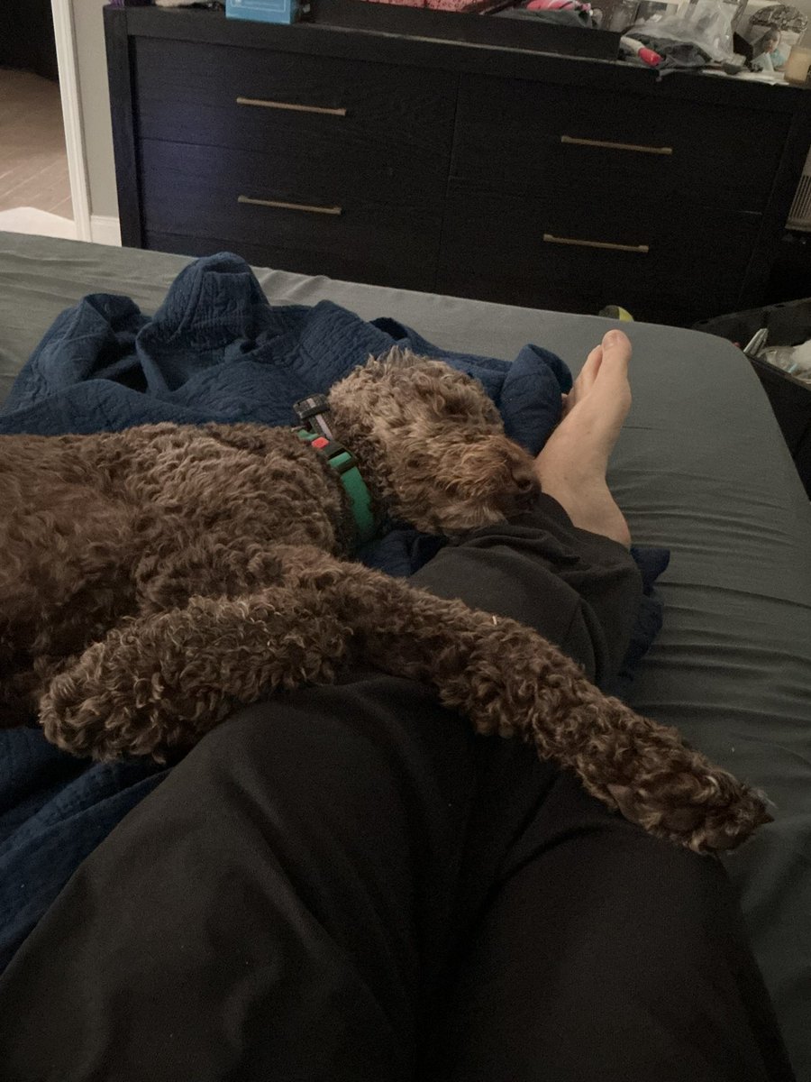 Brunt, FCA. tweet media