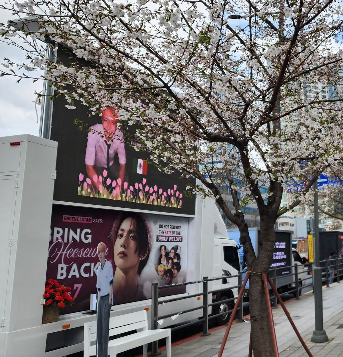 lyn_ ENHYPEN_7💜 tweet media