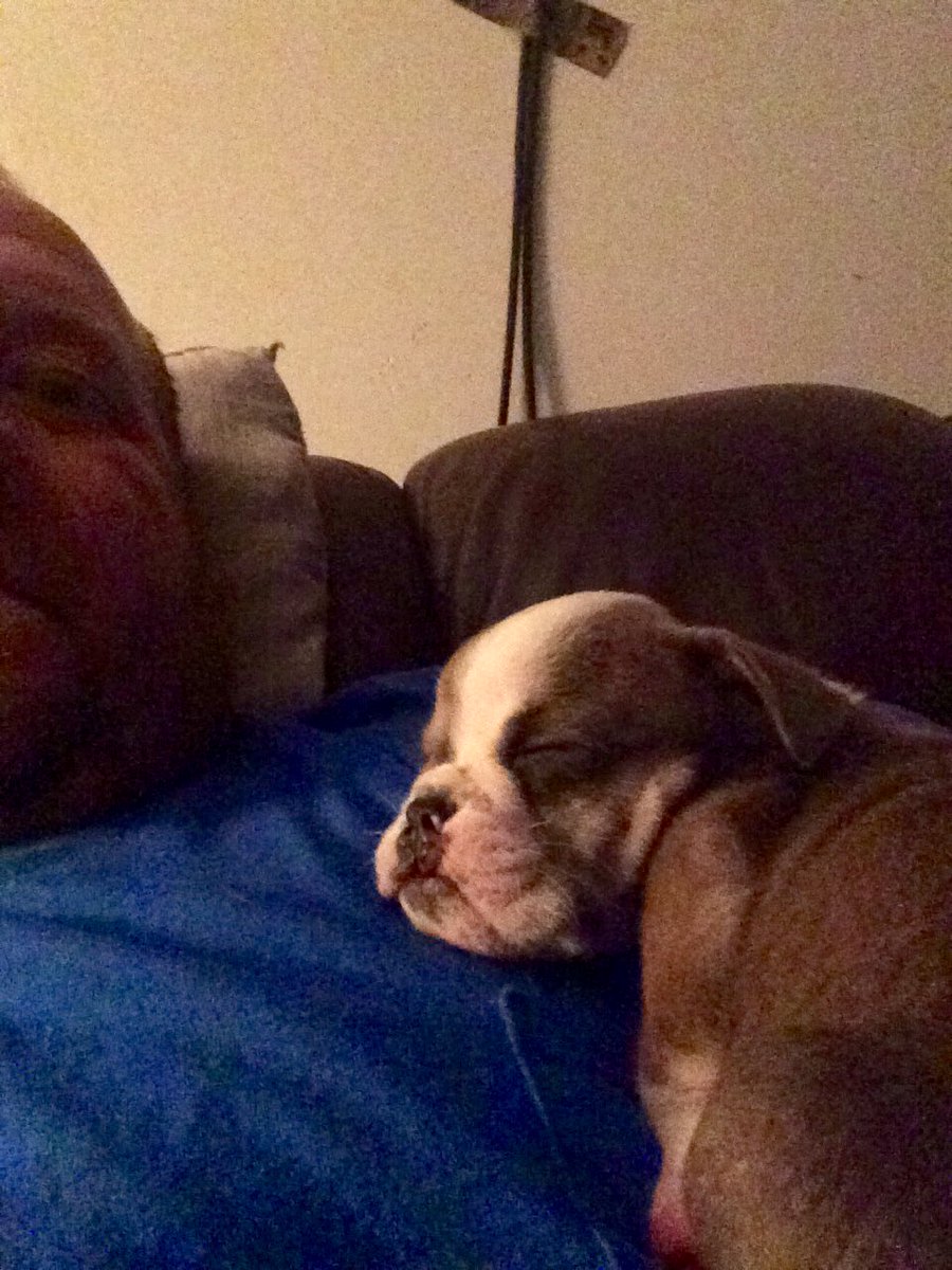 Jason Robinson tweet media