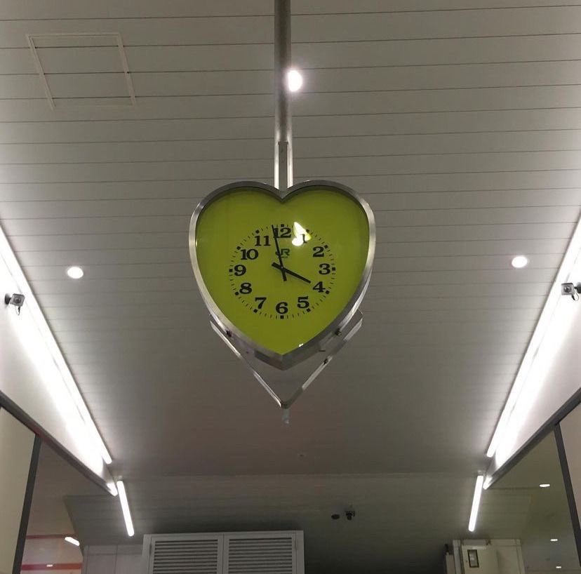 초록말 tweet media