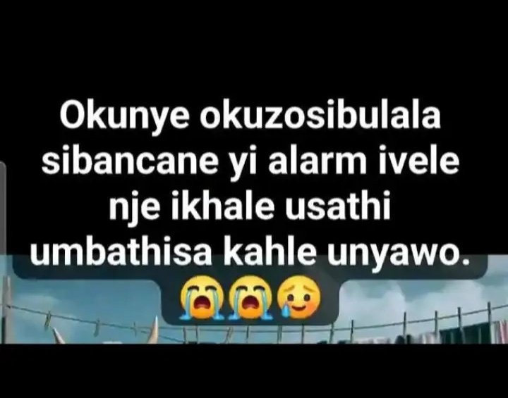 Zanele Mokoena 🇿🇦 tweet media