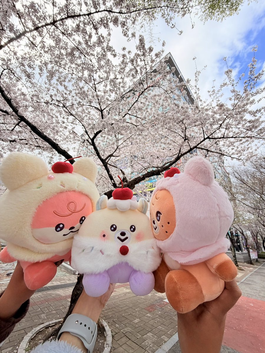 𝐥𝐞𝐞𝐛𝐢 ⋆.˚🦋༘⋆ tweet media