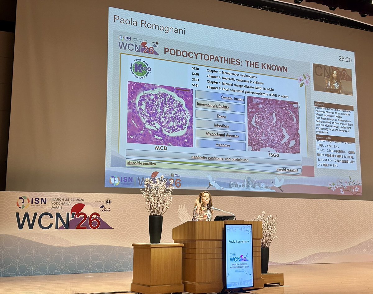 torra_roser's tweet photo. Amazing plenary by @PRomagnani at #ISNWCN 🇯🇵🇯🇵 https://t.co/gbdJtEDiNR