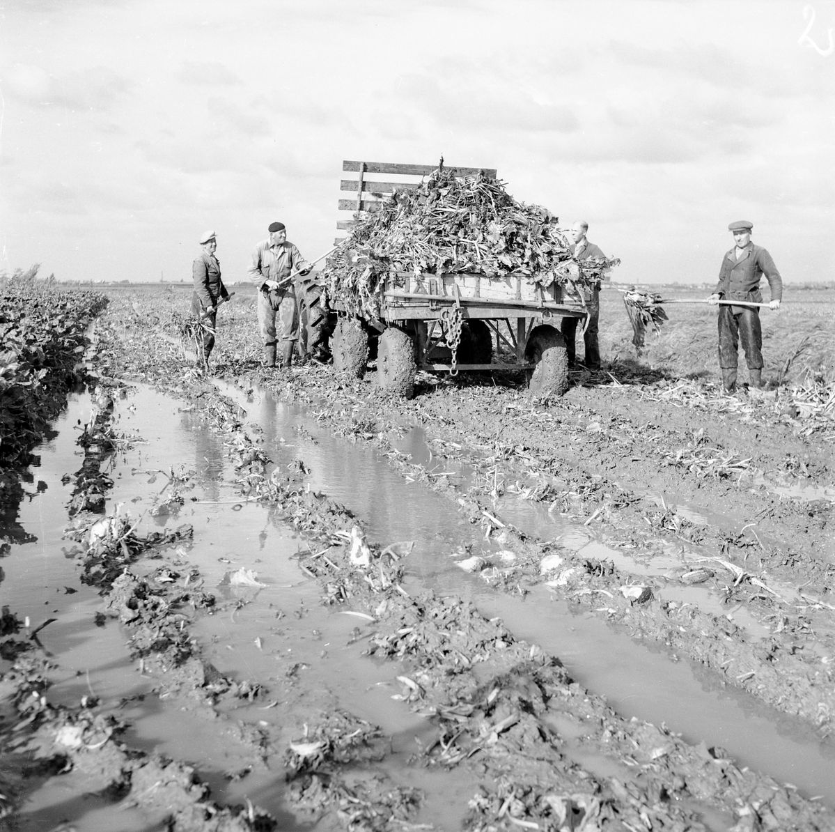 Robbert Leusink tweet media