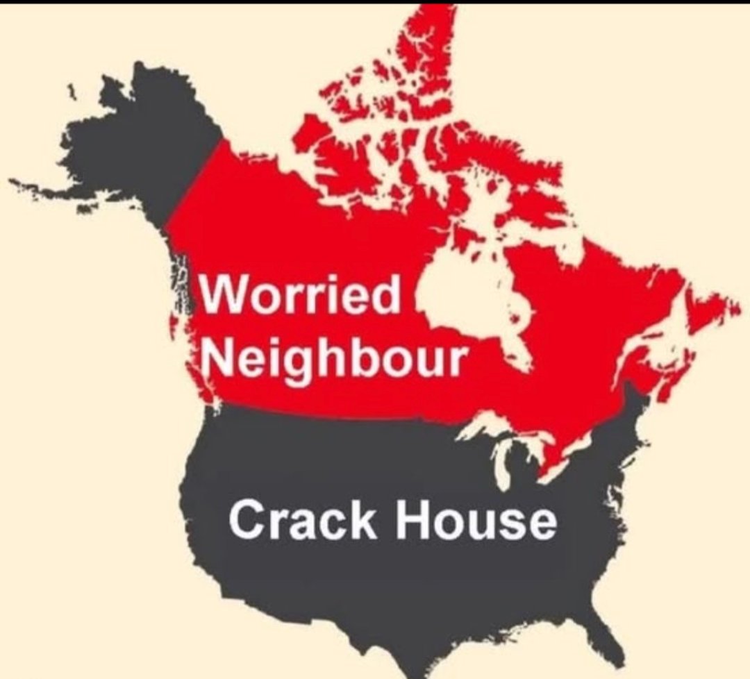 guyfelicella🇨🇦🍁 tweet media