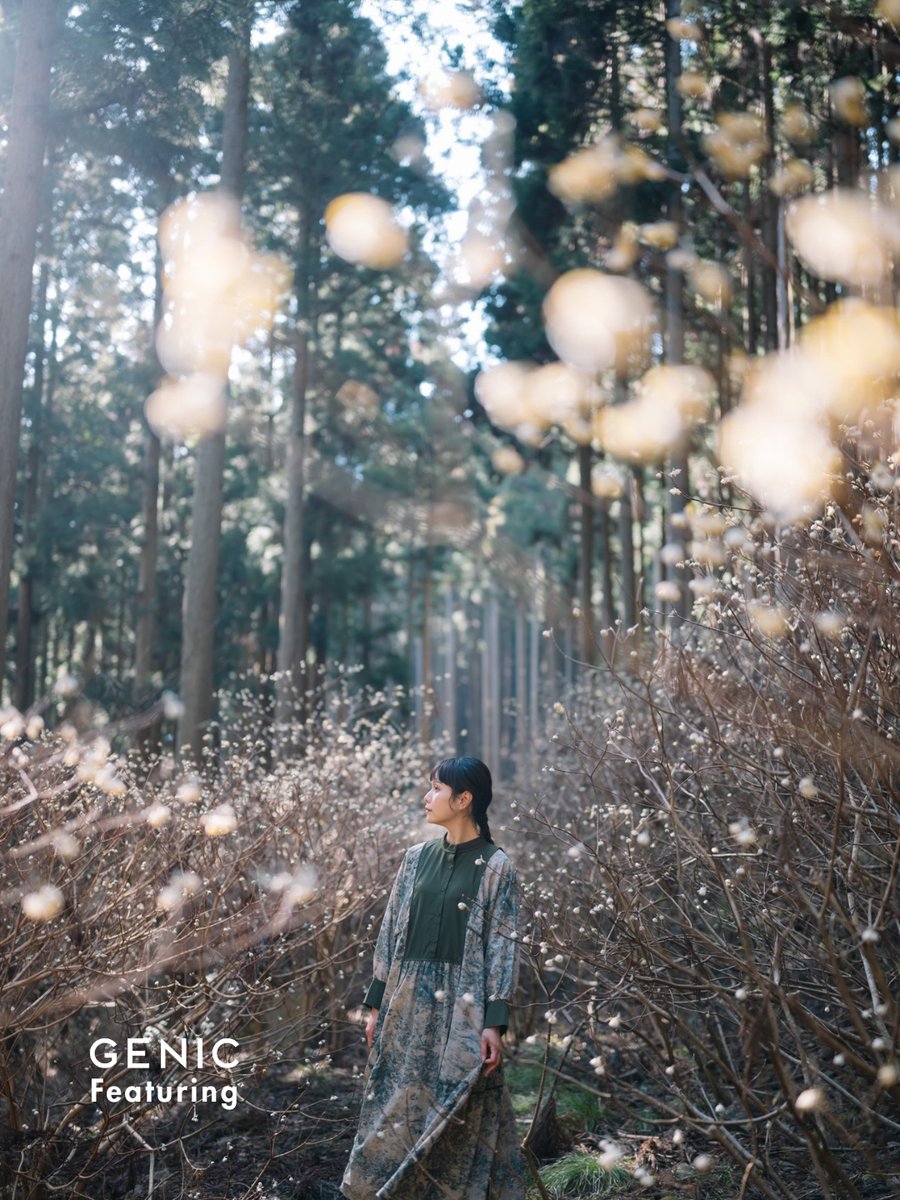 genic_web's tweet photo. GENIC Featuring ＃GENIC_web

「ひかりの森」

Photographer：鎌田風花 @fuka_09