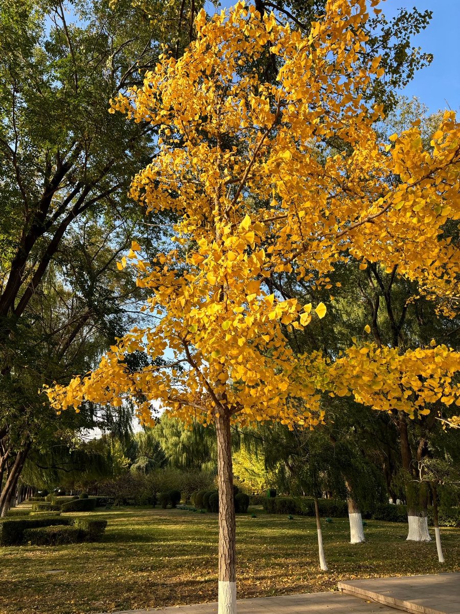 Toni moss tweet media