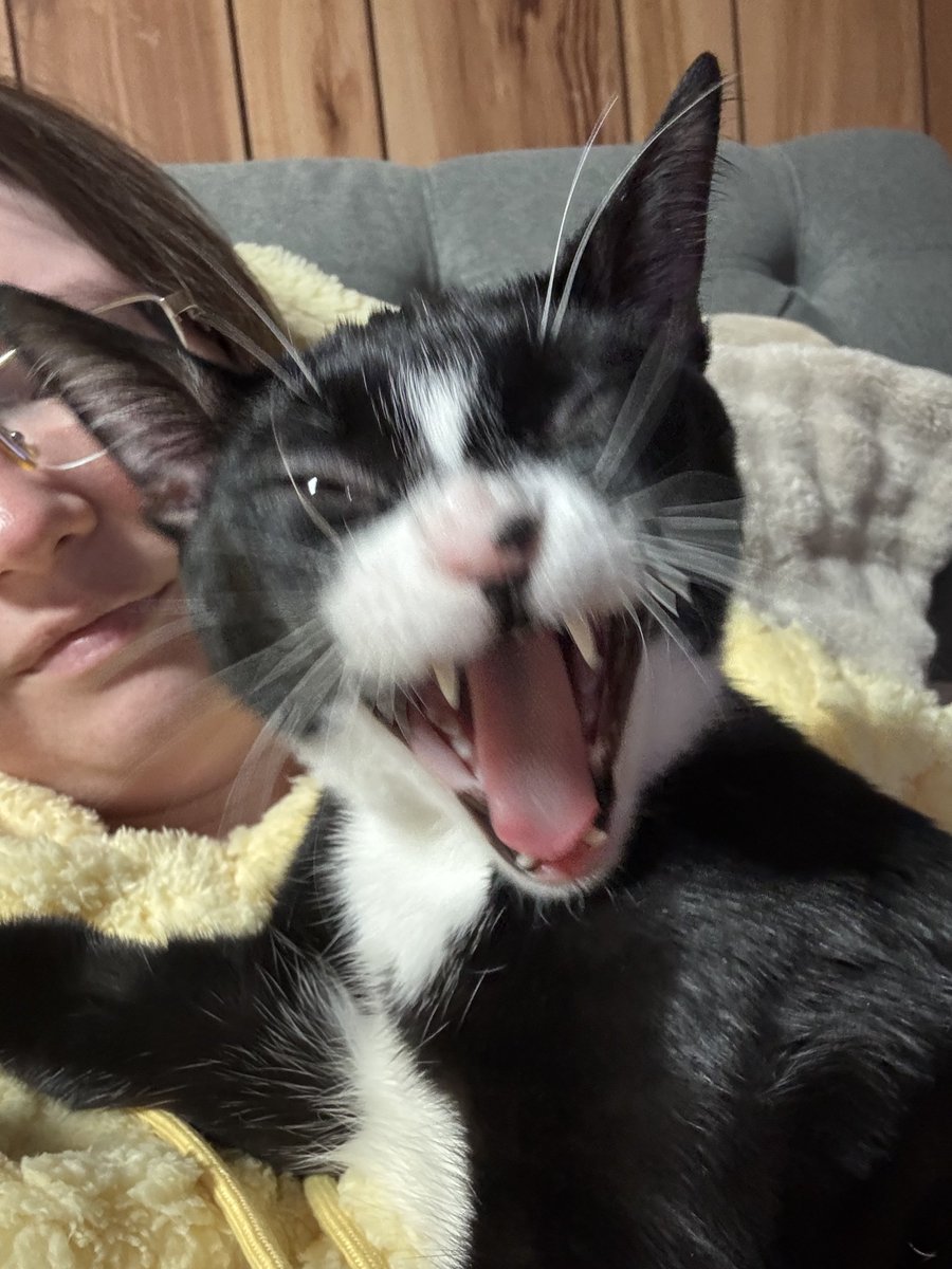 UMM EXCUSE ME DO NOT FORGET THE OTHER CHILD