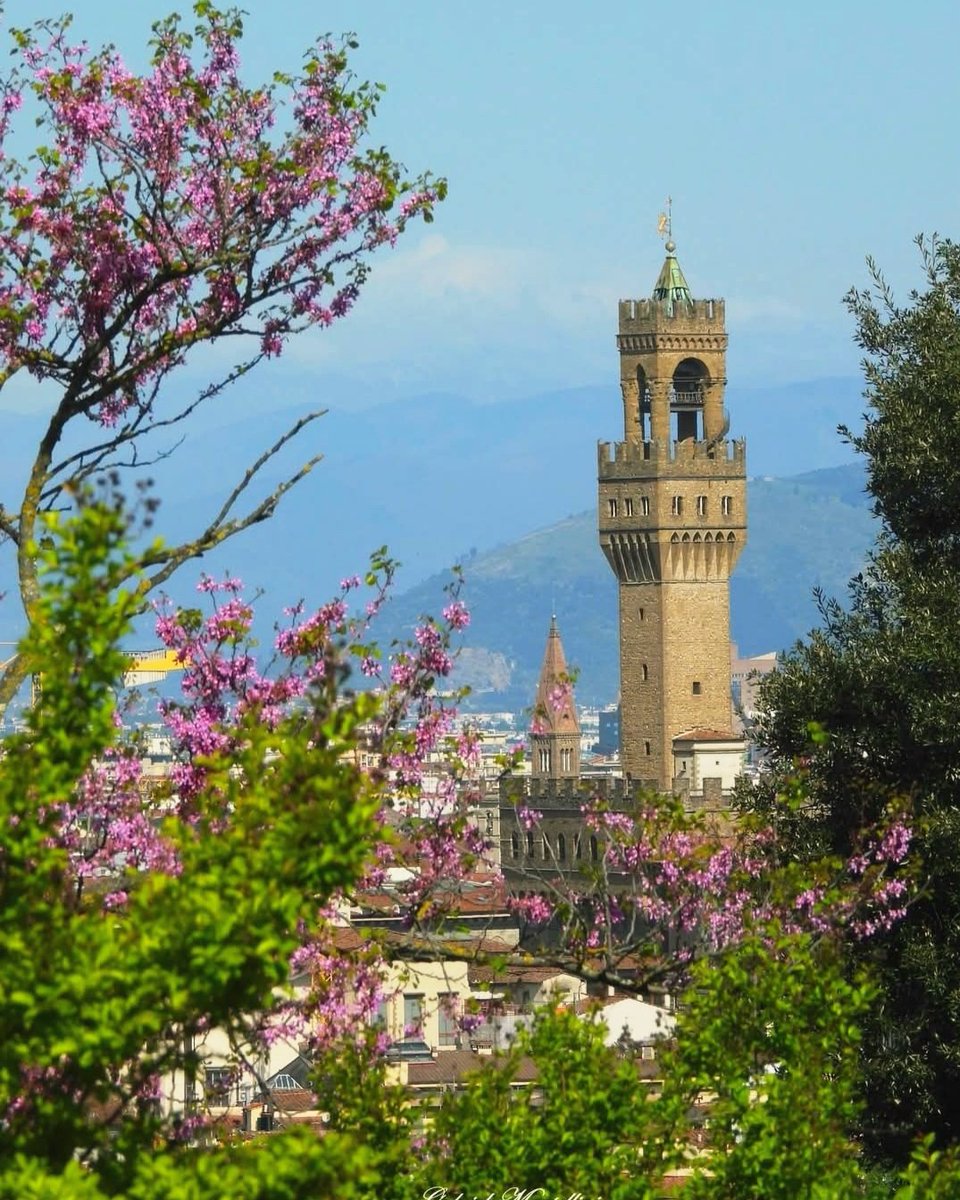 Meri☀️🐣🌸🥀🪺🐣🐾 tweet media