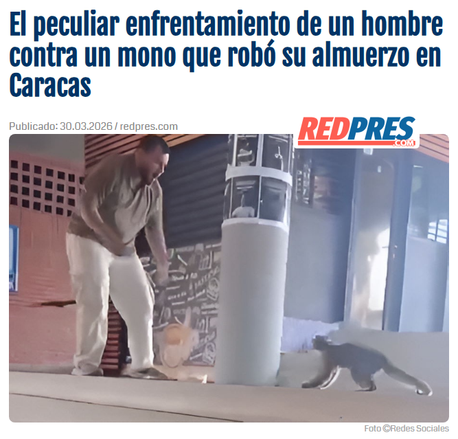 Daan Permon 🌐 tweet media