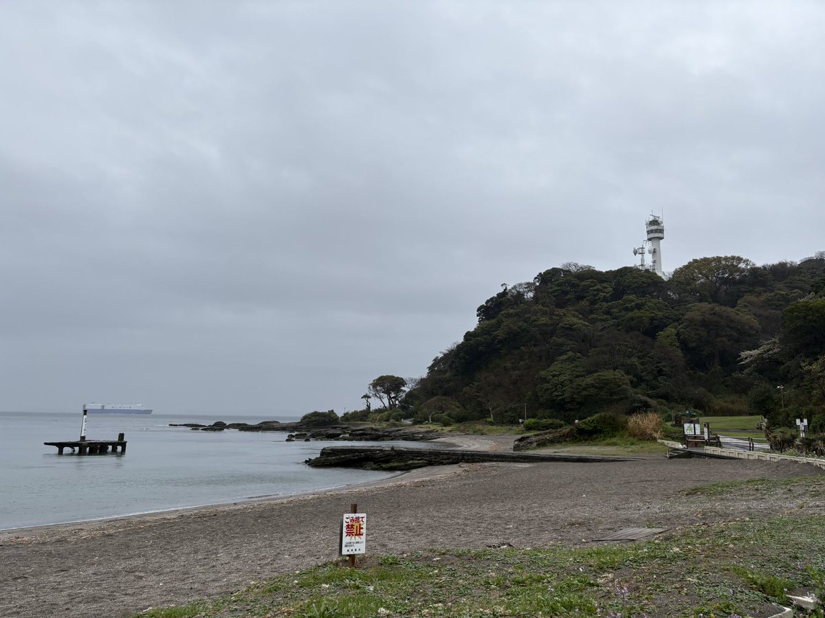 横須賀TWOSTAR tweet media