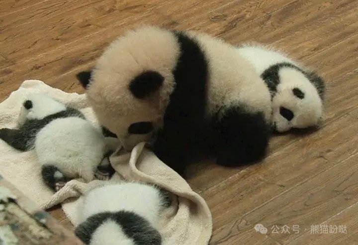 人民中国雑誌社 tweet media