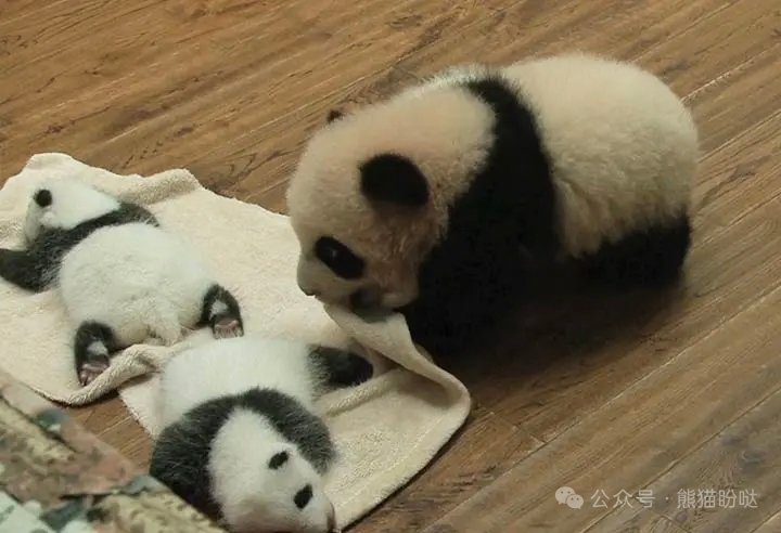 人民中国雑誌社 tweet media