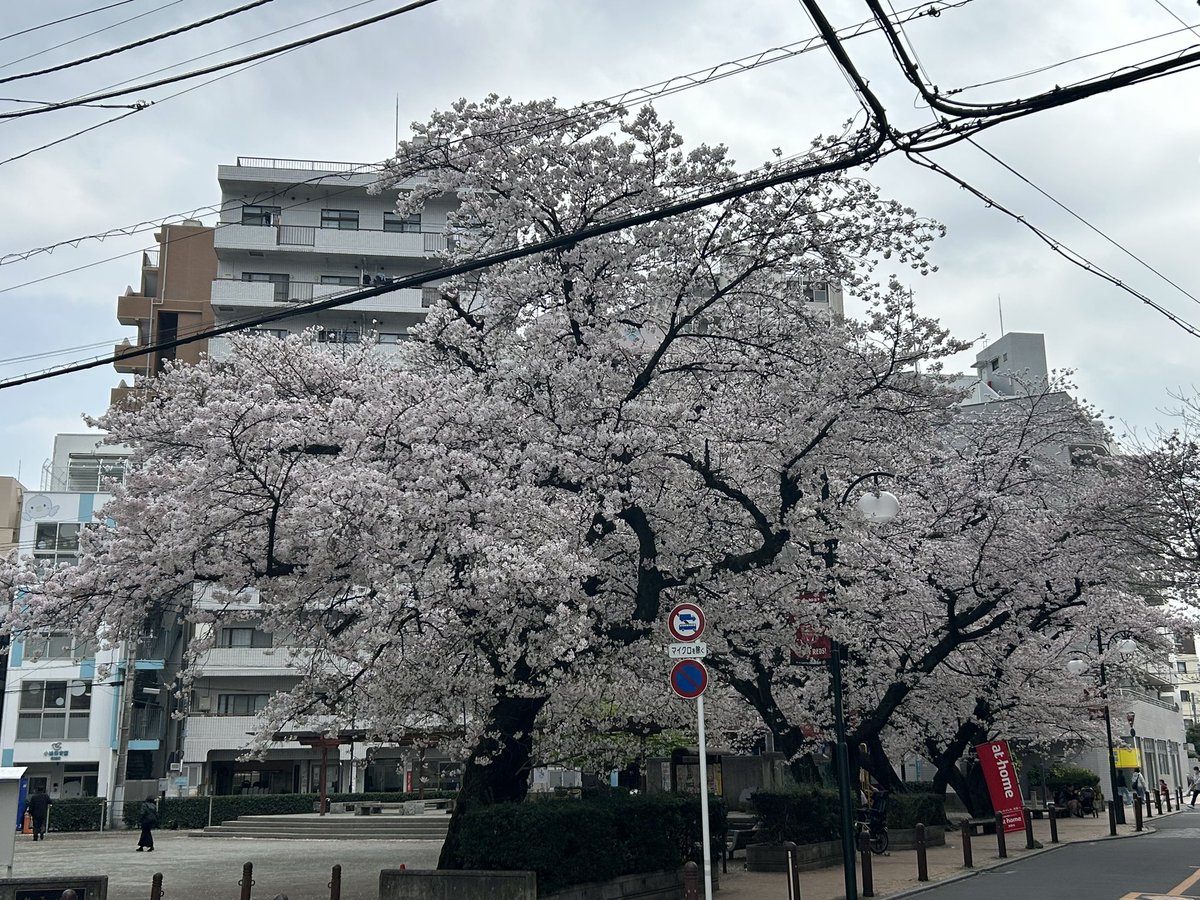 みなみ ひでなみ tweet media