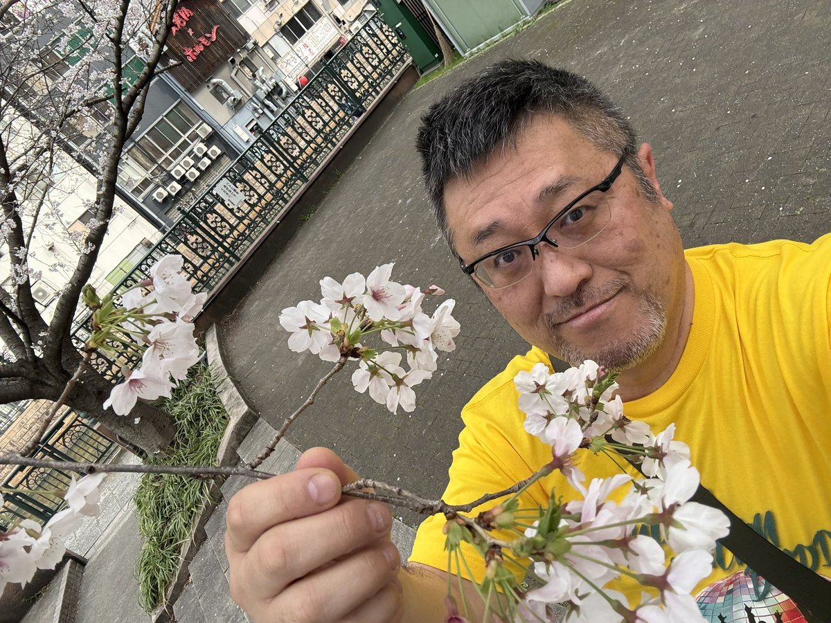 Ani（アニー） tweet media