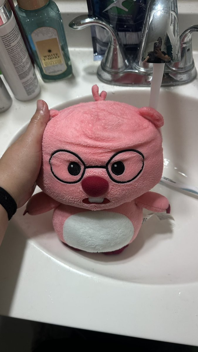 ricegenre's tweet photo. loopy taking bath today #loopyadventures #loopnation https://t.co/7FJhGBjqLe