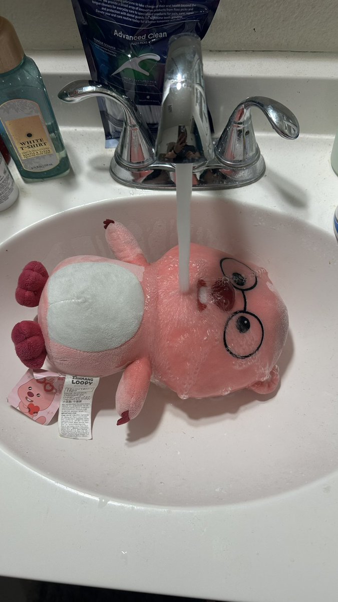 ricegenre's tweet photo. loopy taking bath today #loopyadventures #loopnation https://t.co/7FJhGBjqLe