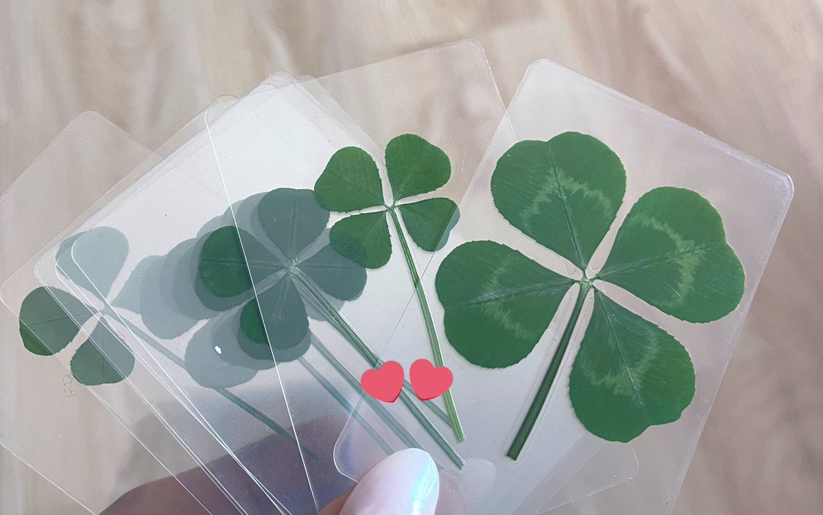 Cdz~whisper🪽❄️Yugyeomlism tweet media