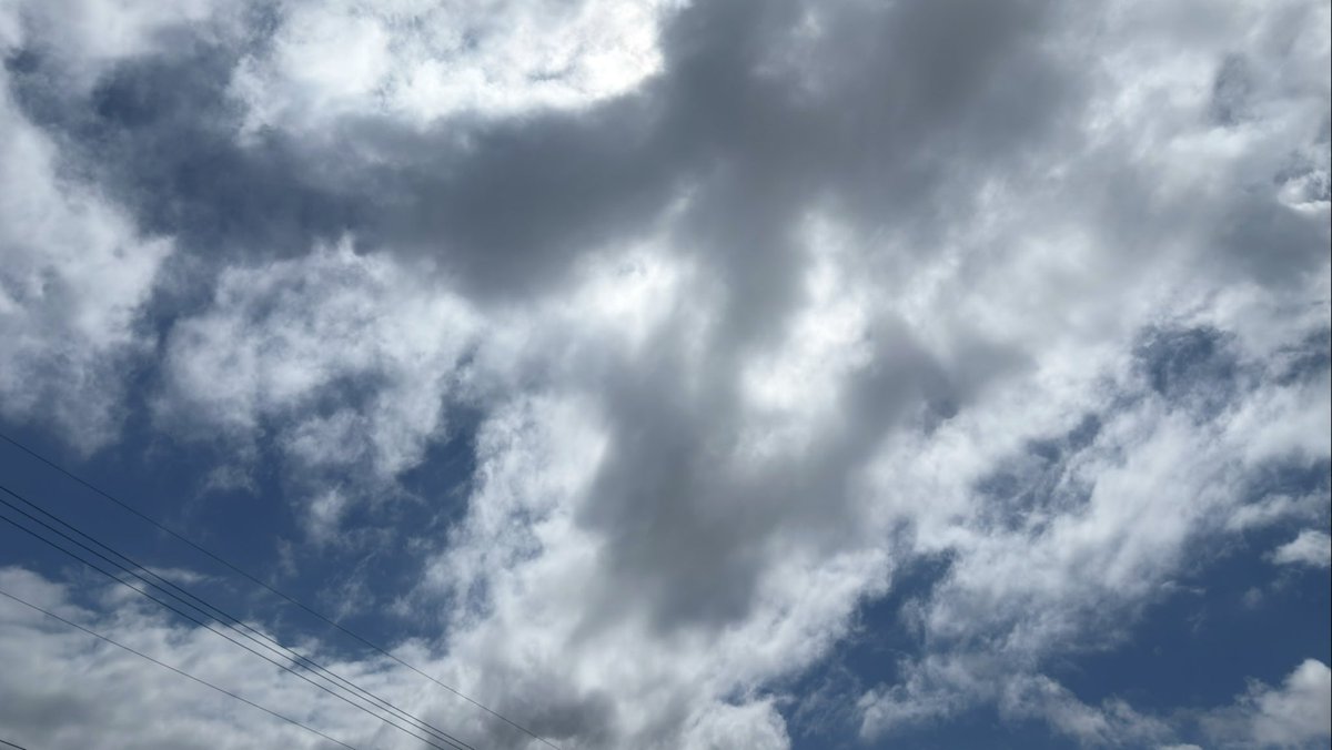 ikubai-oz tweet media