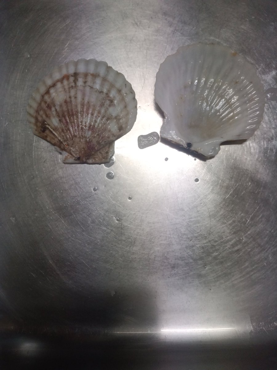 エースコック tweet media