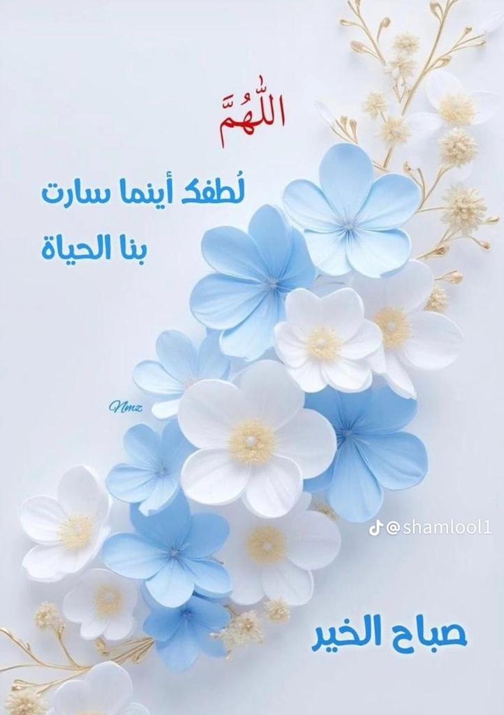 YKM🇸🇦👑 tweet media