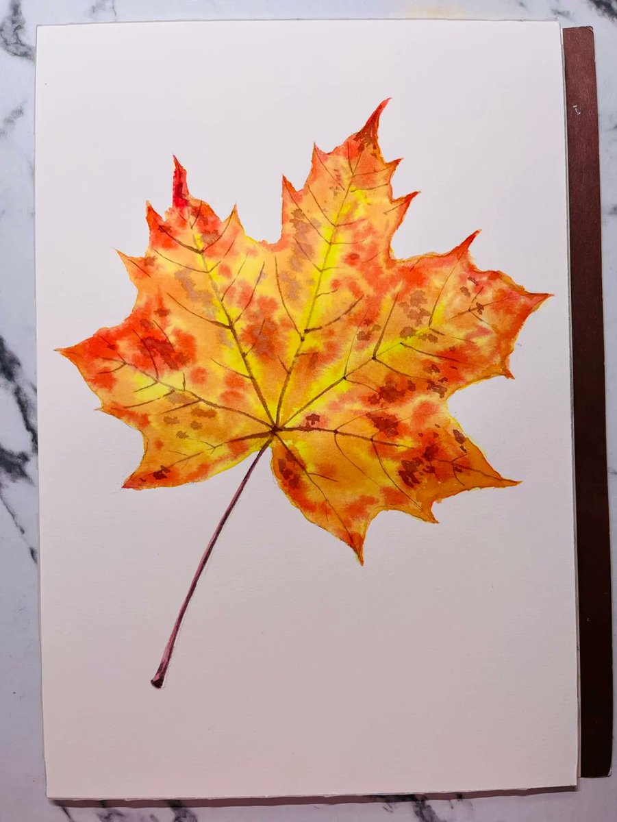 Reflex-O Recreations tweet media