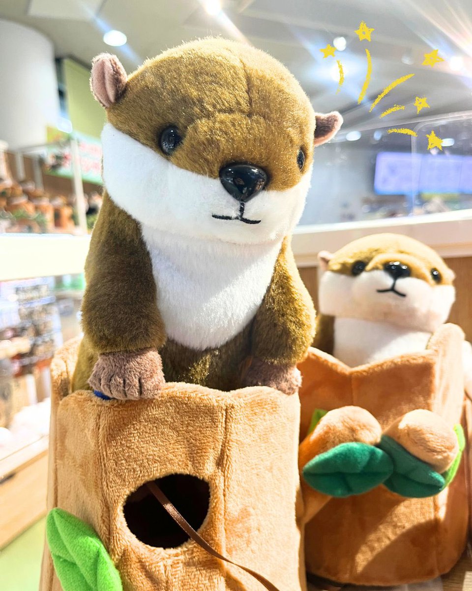 市川市動植物園GARDEN OASIS（ガーデンオアシス） tweet media