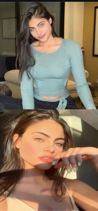 Schopenhauer tweet media